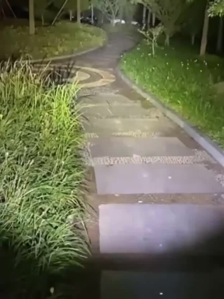 Rechargeable Flashlight USB Charging 5 Modes Zoomable Digital Display - Image 12